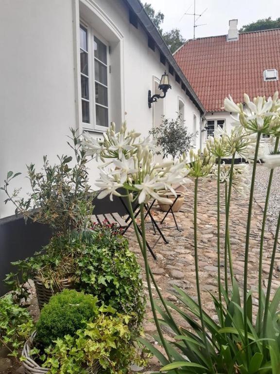 Ferienwohnung Agernaesgaard Otterup Exterior foto
